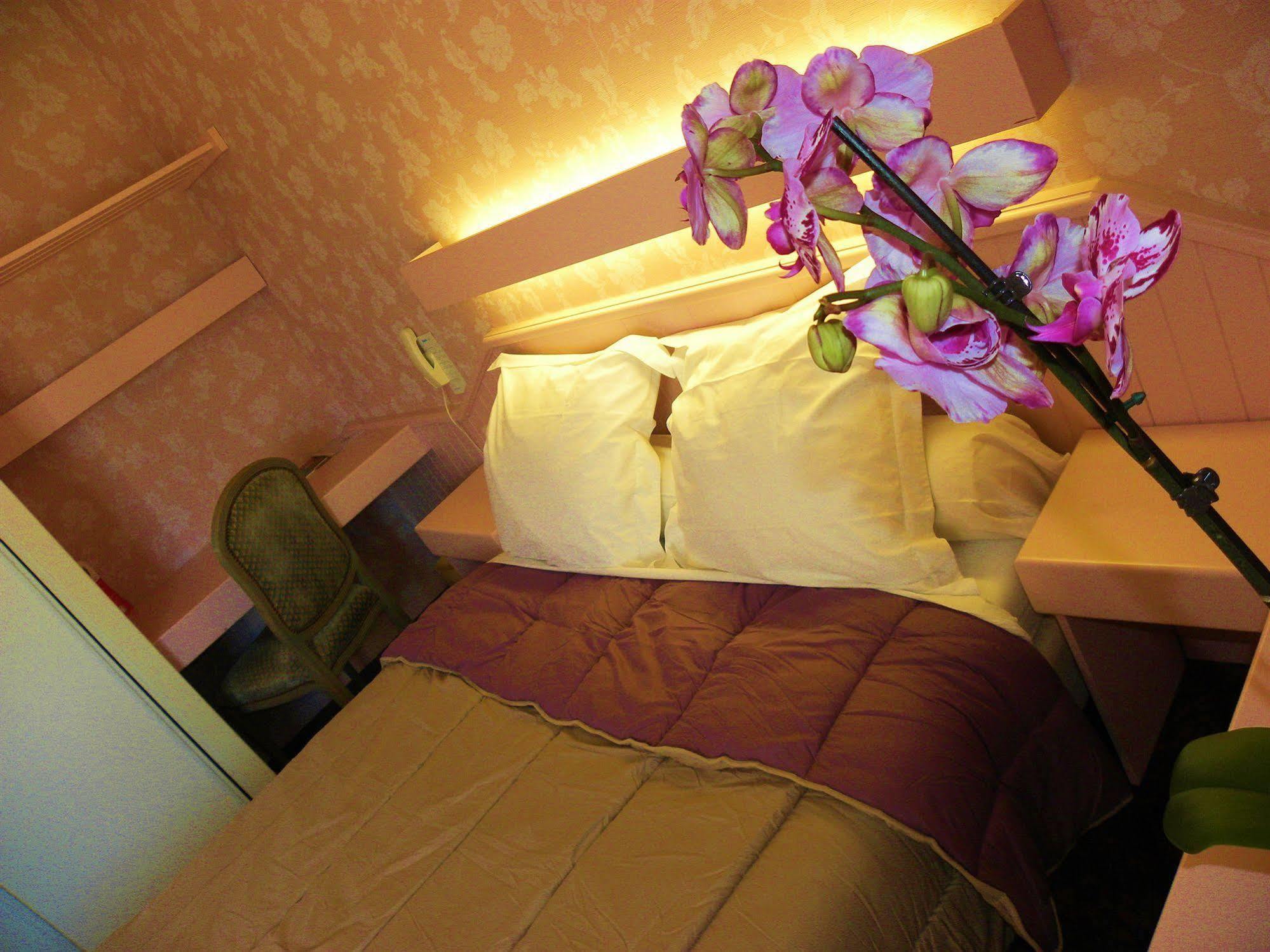 Hotel Ursula Cambo-les-Bains Ngoại thất bức ảnh