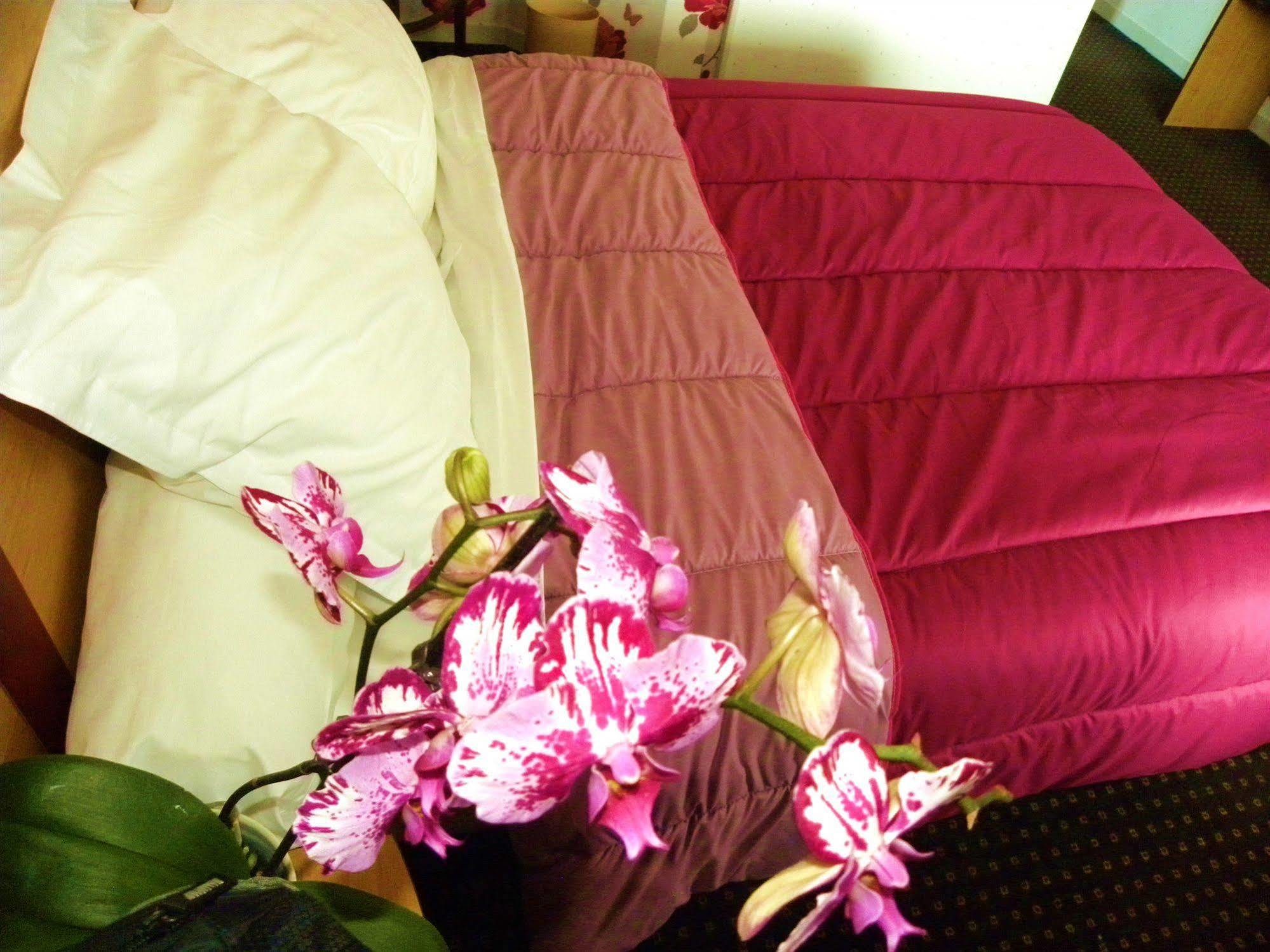 Hotel Ursula Cambo-les-Bains Ngoại thất bức ảnh